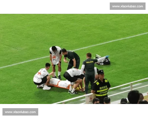 关键球员伤停汇总影响赛程走势与球队战力评估最新动态全面解析