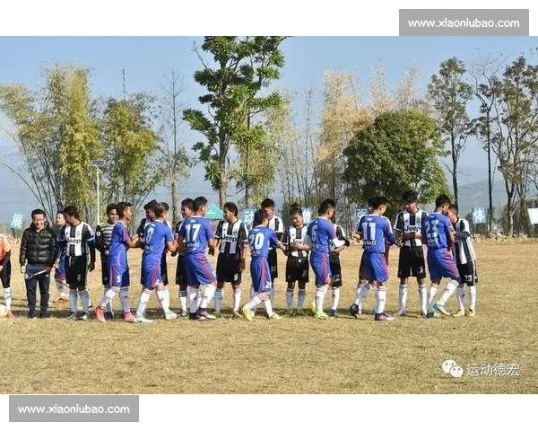 禁赛处罚的影响与反思：运动员权益、赛事公平性及体育道德的多重考量